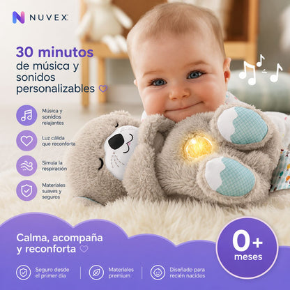 NUTRIA DORMILONA PREMIUM