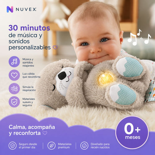 NUTRIA DORMILONA PREMIUM