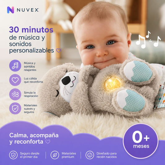 NUTRIA DORMILONA PREMIUM
